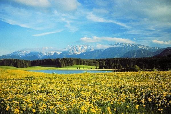 Gaestehaus Kerpf Inclusive Koenigscard ネッセルヴァンク エクステリア 写真